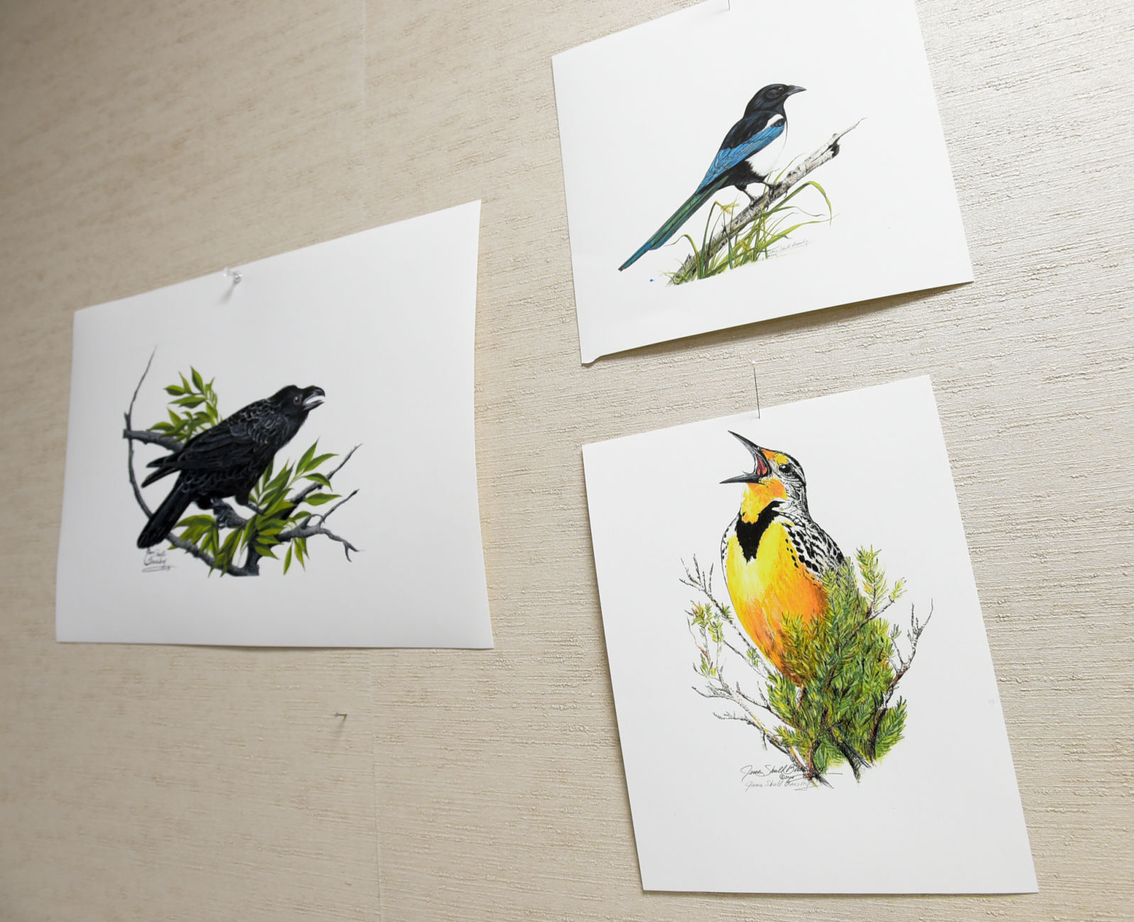 Prints of Jane Beasley's hang in the back of the store